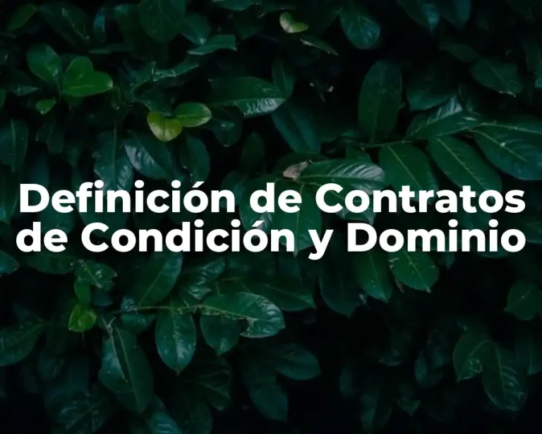 Definición de Contratos de Condición y Dominio