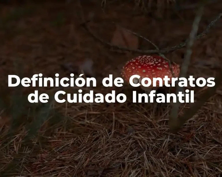 Definición de Contratos de Cuidado Infantil