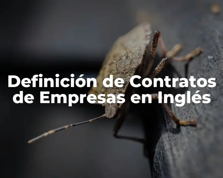 Definición de Contratos de Empresas en Inglés
