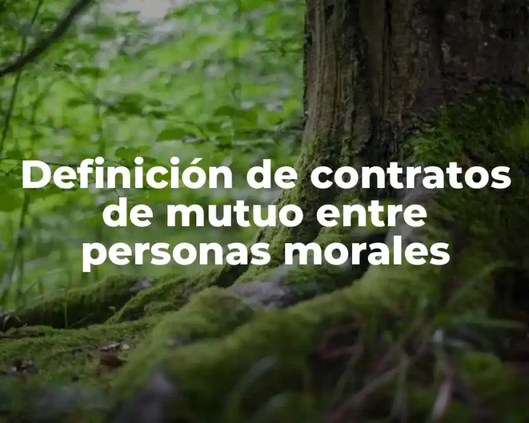 Definición de contratos de mutuo entre personas morales