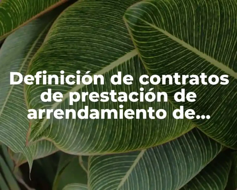 Definición de contratos de prestación de arrendamiento de maquinarias