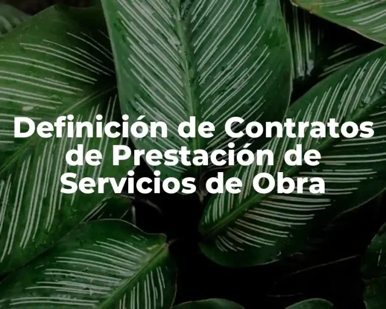Definición de Contratos de Prestación de Servicios de Obra