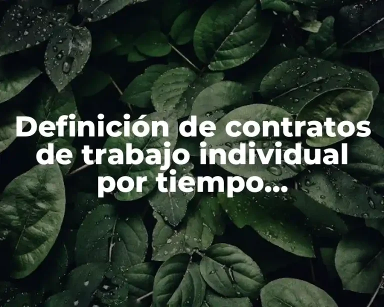 Definición de contratos de trabajo individual por tiempo determinado
