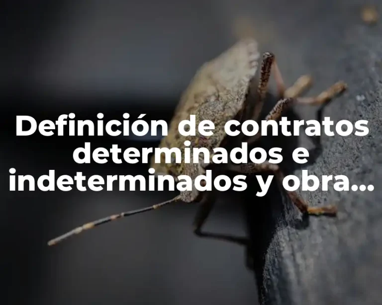 Definición de contratos determinados e indeterminados y obra determinada