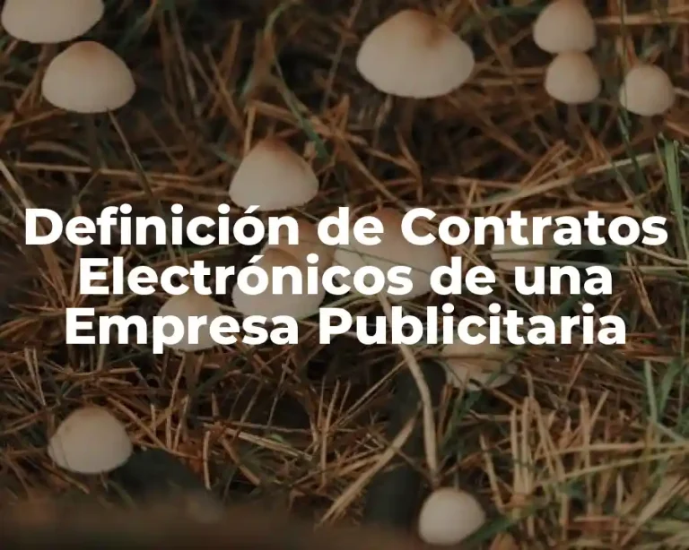 Definición de Contratos Electrónicos de una Empresa Publicitaria