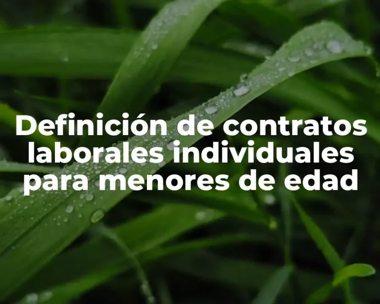 Definición de contratos laborales individuales para menores de edad