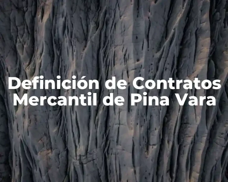 Definición de Contratos Mercantil de Pina Vara