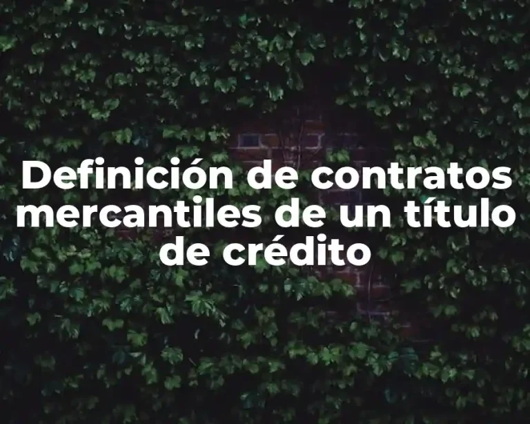 Definición de contratos mercantiles de un título de crédito