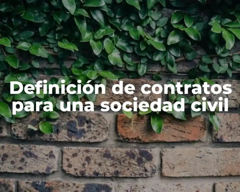 Definición de contratos para una sociedad civil