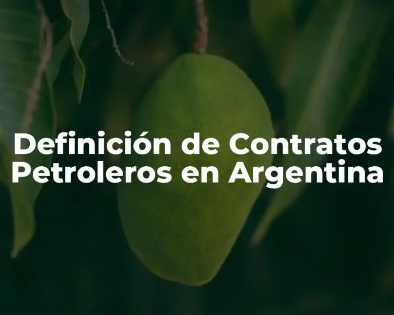 Definición de Contratos Petroleros en Argentina
