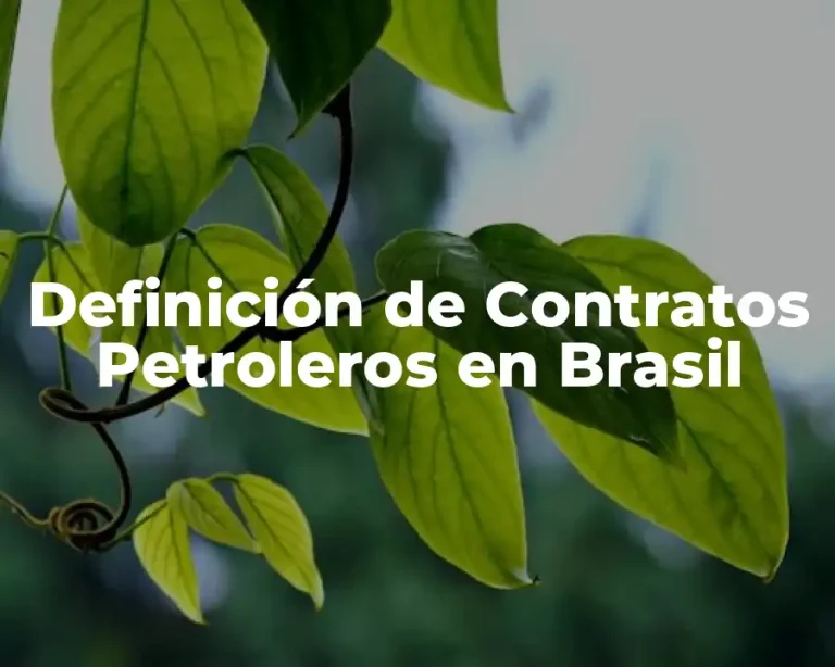 Definición de Contratos Petroleros en Brasil