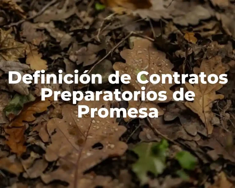Definición de Contratos Preparatorios de Promesa