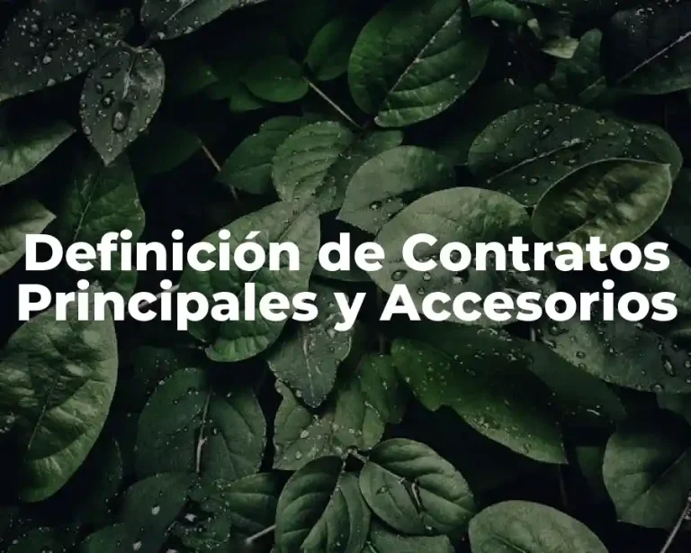 Definición de Contratos Principales y Accesorios