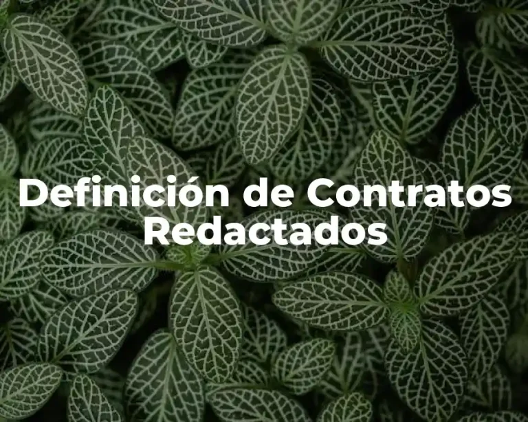 Definición de Contratos Redactados
