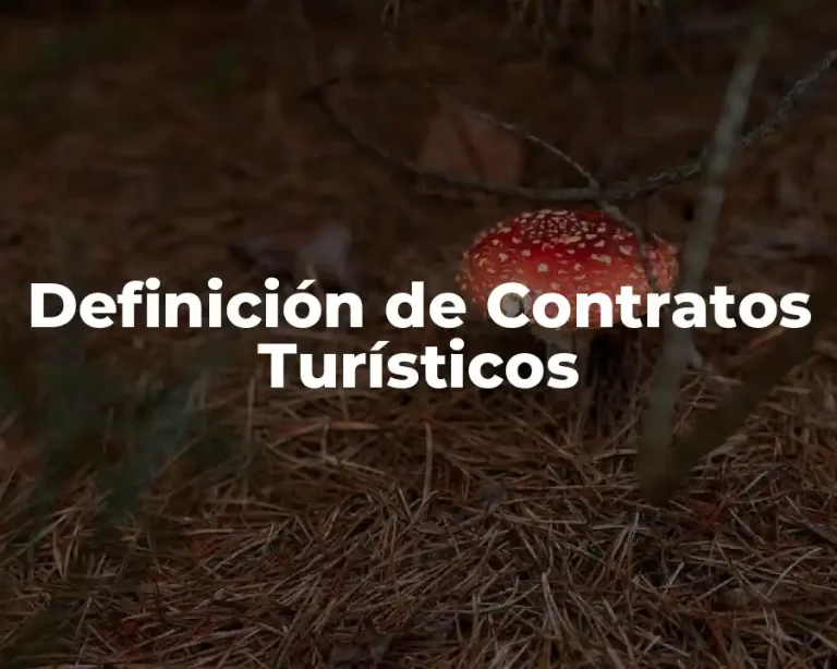 Definición de Contratos Turísticos