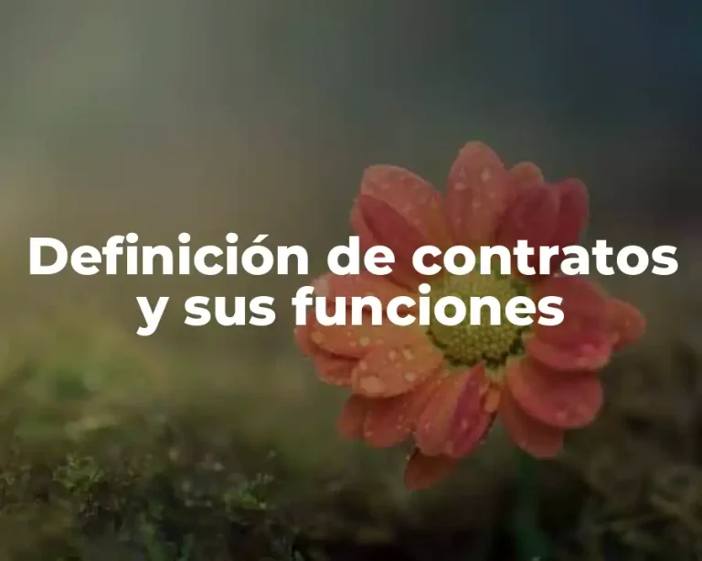 Definición de contratos y sus funciones