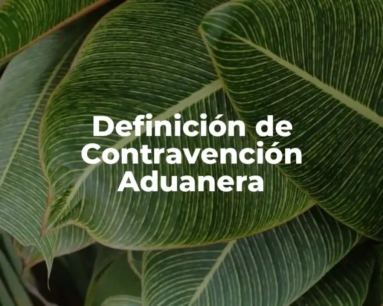 Definición de Contravención Aduanera