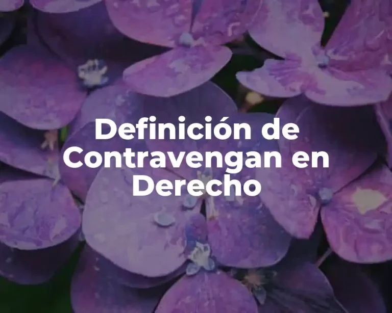 Definición de Contravengan en Derecho