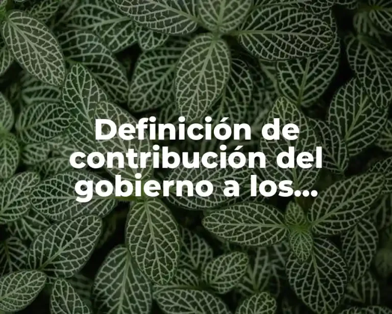 Definición de contribución del gobierno a los ciudadanos ética