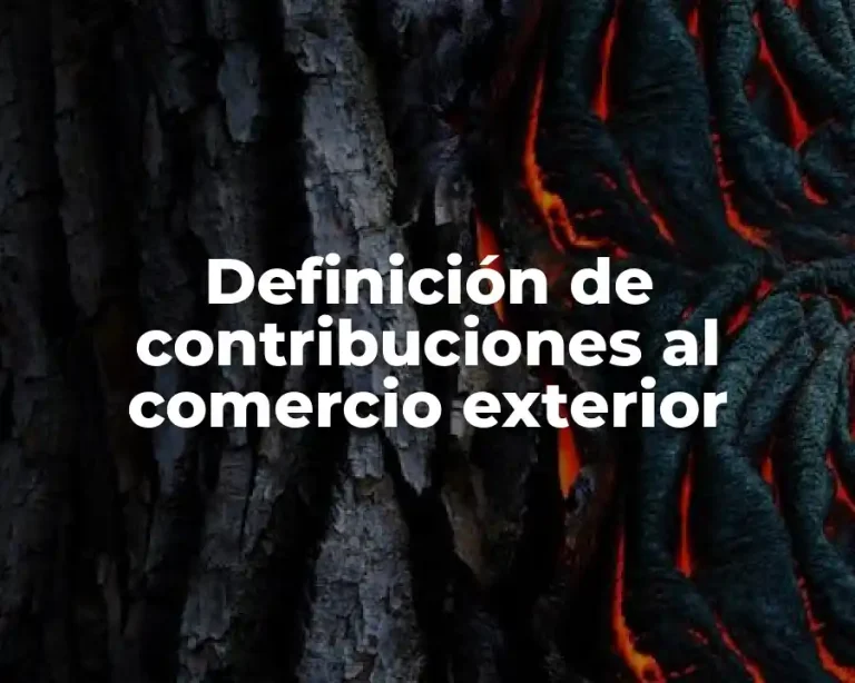 Definición de contribuciones al comercio exterior