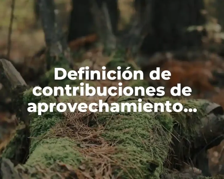 Definición de contribuciones de aprovechamiento anivel federal