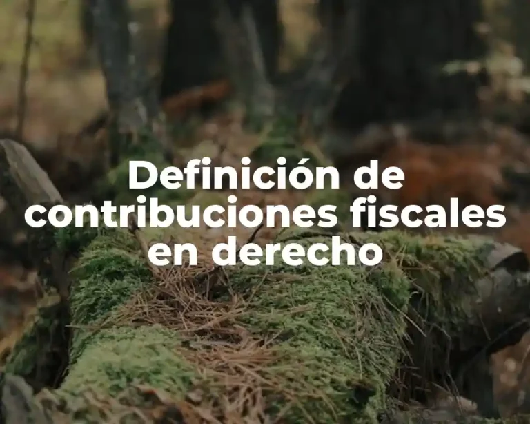 Definición de contribuciones fiscales en derecho