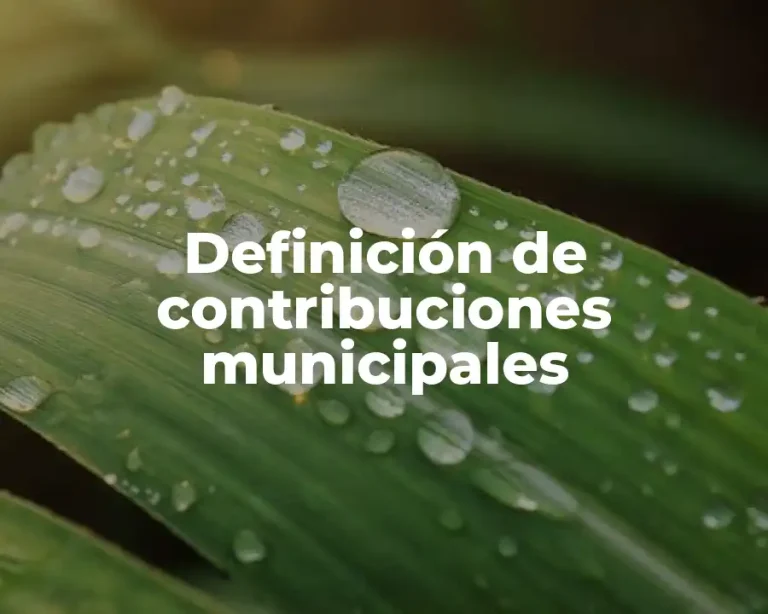 Definición de contribuciones municipales