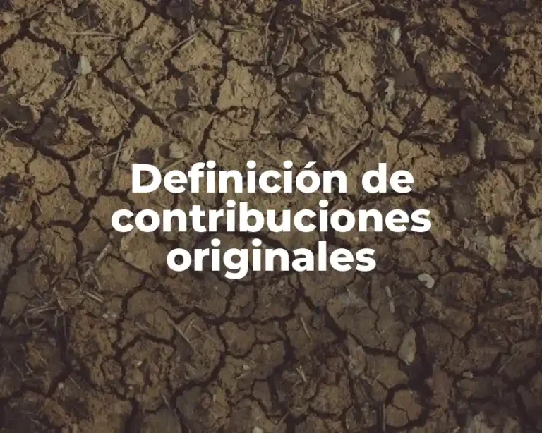 Definición de contribuciones originales