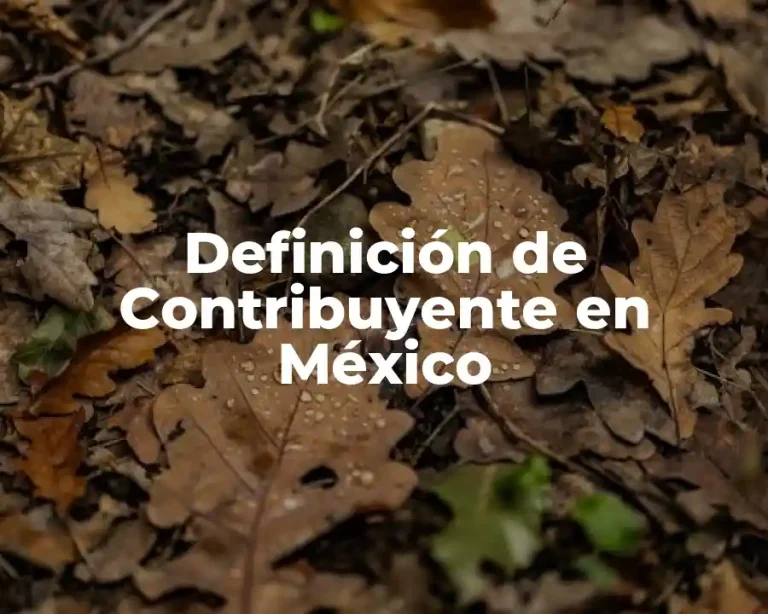 Definición de Contribuyente en México