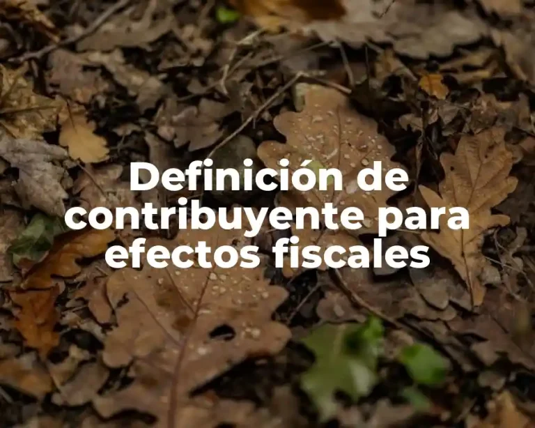 Definición de contribuyente para efectos fiscales
