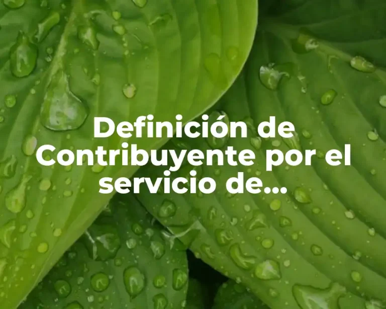 Definición de Contribuyente por el servicio de Administración Tributaria