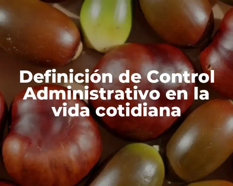 Definición de Control Administrativo en la vida cotidiana