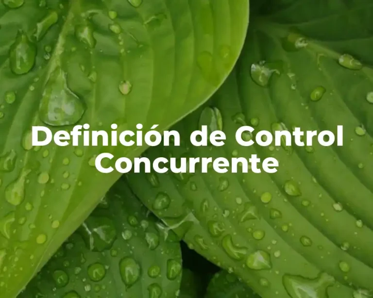 Definición de Control Concurrente