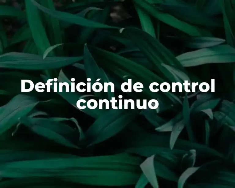 Definición de control continuo