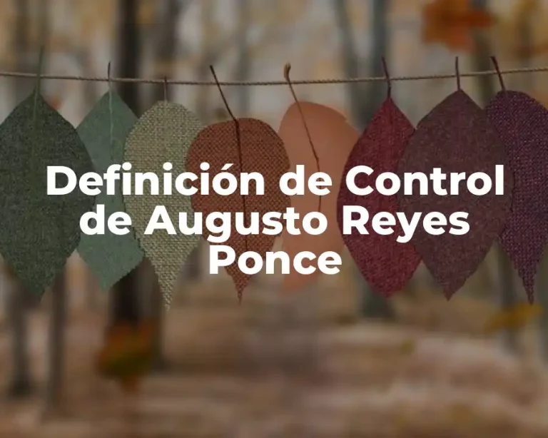 Definición de Control de Augusto Reyes Ponce