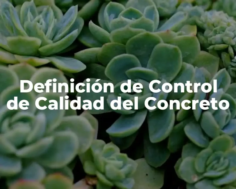 Definición de Control de Calidad del Concreto
