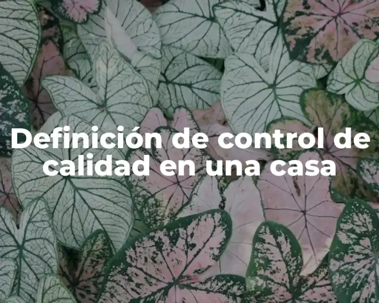 Definición de control de calidad en una casa