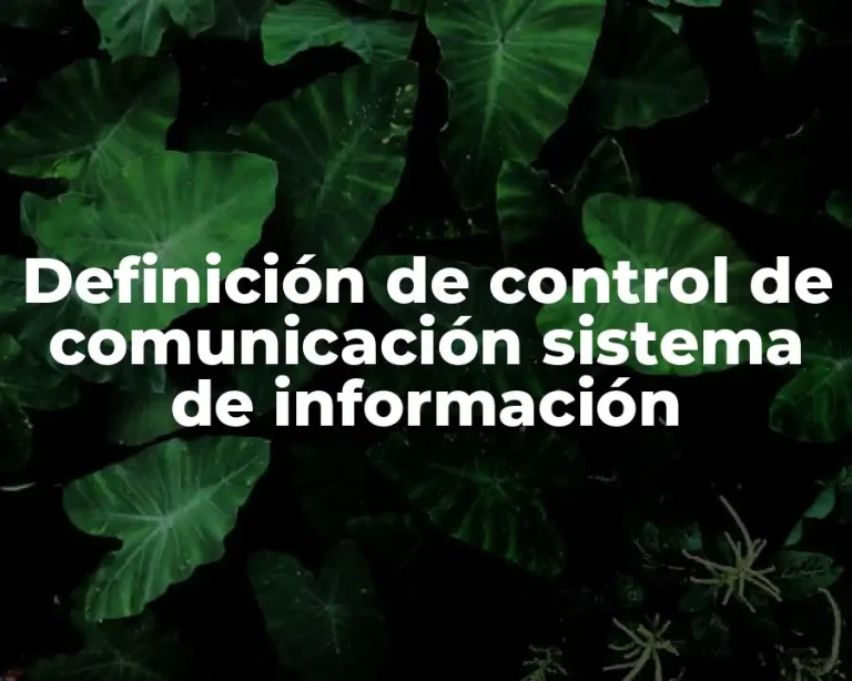 Definición de control de comunicación sistema de información
