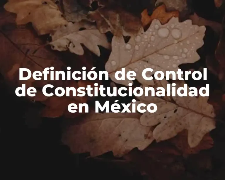 Definición de Control de Constitucionalidad en México