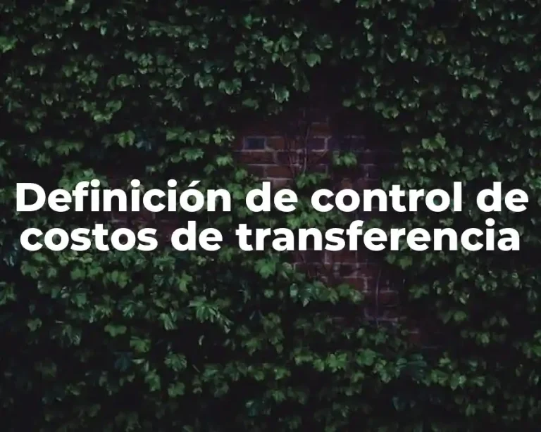 Definición de control de costos de transferencia