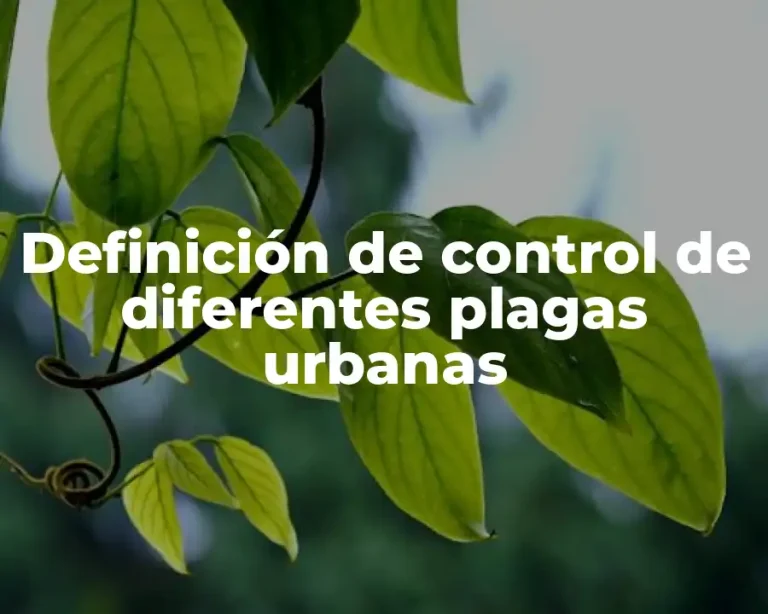 Definición de control de diferentes plagas urbanas