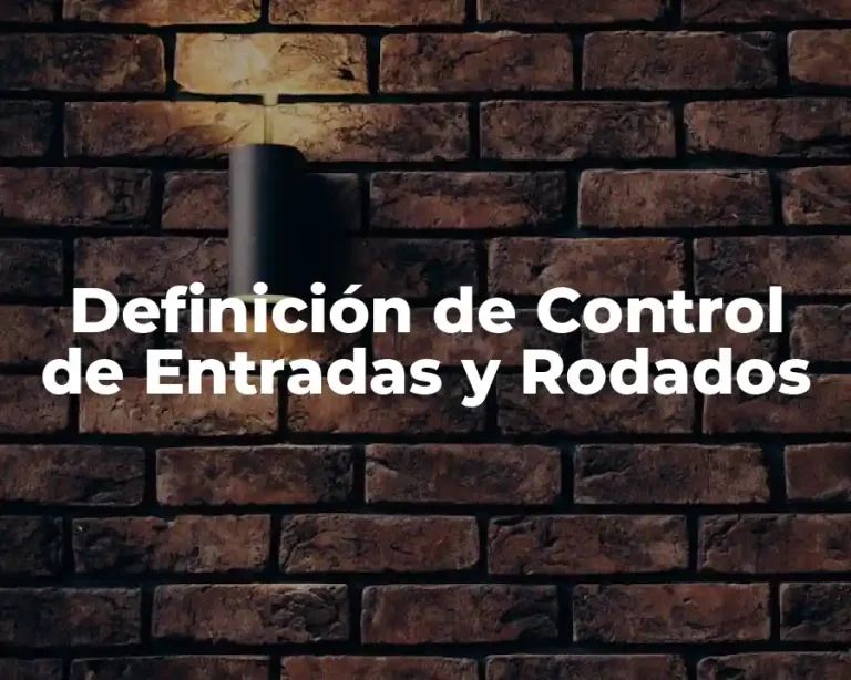Definición de Control de Entradas y Rodados