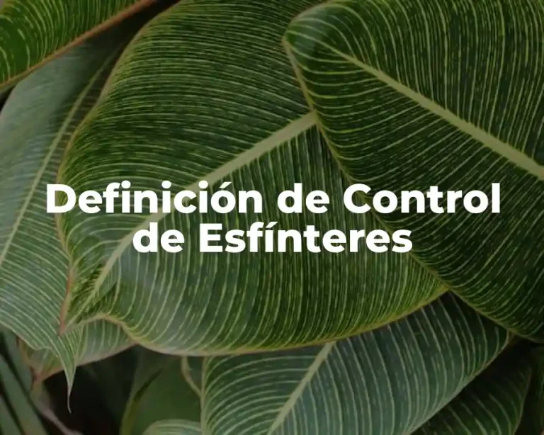 Definición de Control de Esfínteres