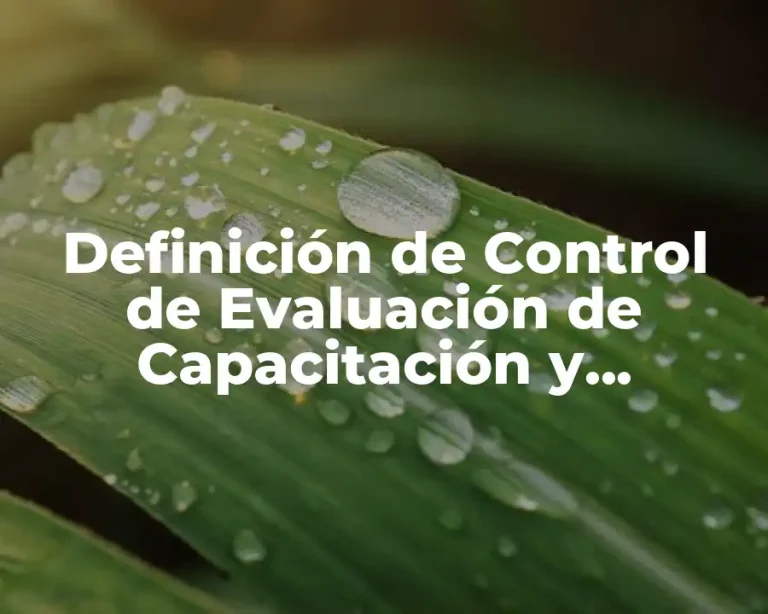 Definición de Control de Evaluación de Capacitación y Desarrollo