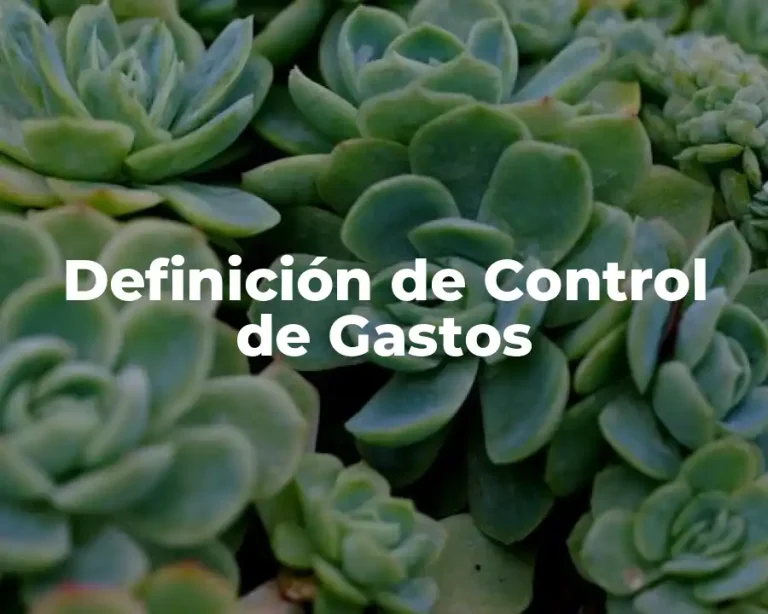 Definición de Control de Gastos