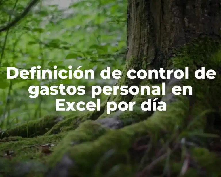 Definición de control de gastos personal en Excel por día