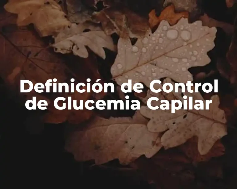 Definición de Control de Glucemia Capilar