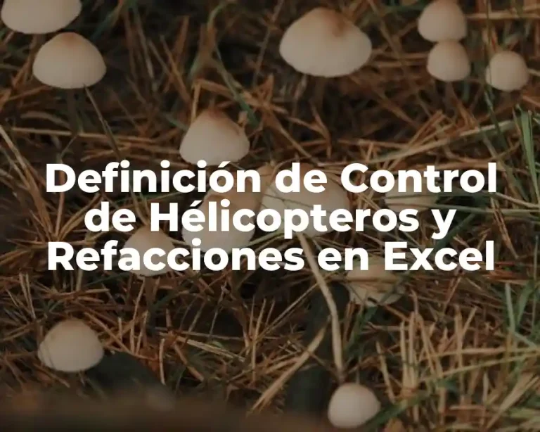Definición de Control de Hélicopteros y Refacciones en Excel