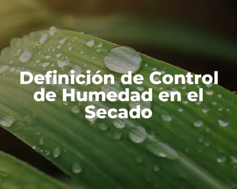 Definición de Control de Humedad en el Secado