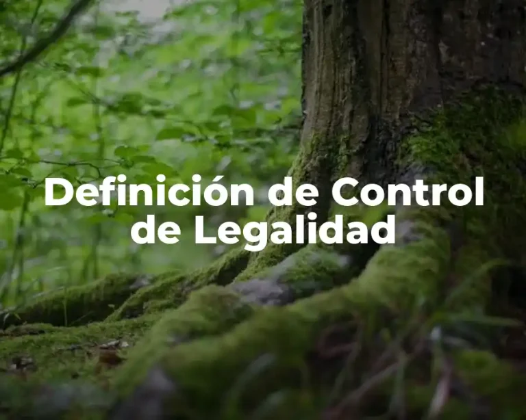 Definición de Control de Legalidad